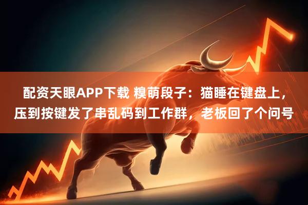 配资天眼APP下载 糗萌段子：猫睡在键盘上，压到按键发了串乱码到工作群，老板回了个问号