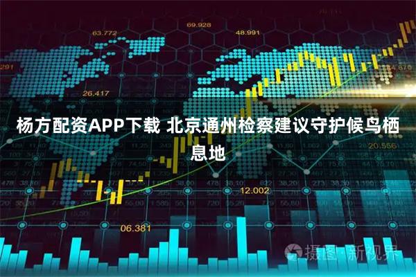 杨方配资APP下载 北京通州检察建议守护候鸟栖息地