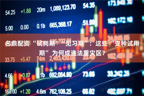 名鼎配资 “试岗期”“见习期”：这些 “变种试用期” 为何成违法重灾区？