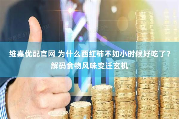 维嘉优配官网 为什么西红柿不如小时候好吃了？解码食物风味变迁玄机