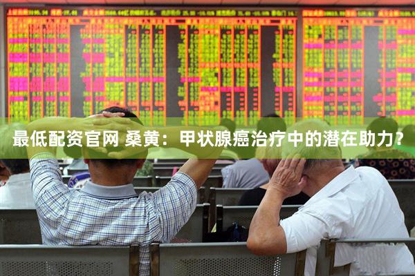 最低配资官网 桑黄：甲状腺癌治疗中的潜在助力？