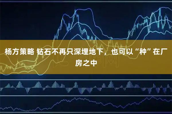 杨方策略 钻石不再只深埋地下，也可以“种”在厂房之中