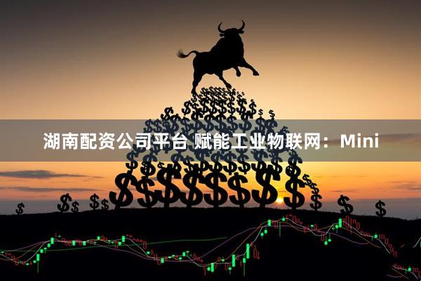 湖南配资公司平台 赋能工业物联网：Mini