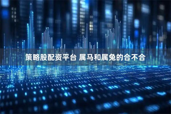 策略股配资平台 属马和属兔的合不合